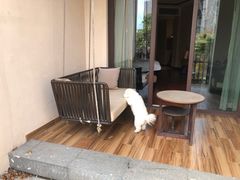 -上海崇明金茂凯悦酒店