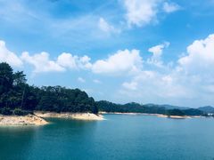 -广州市流溪河国家森林公园