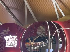 -上海浦东国际机场-T2航站楼