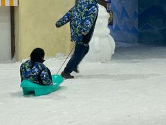 -世界之窗阿尔卑斯冰雪世界