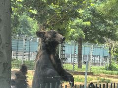 -秦皇岛野生动物园