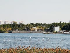 -厦门园林博览苑
