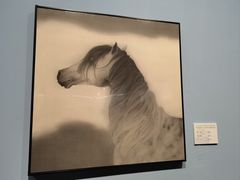 -江苏省美术馆(长江路新馆)