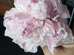 -新林麻辣串(西市场总店)