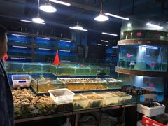水产区-渔人湾码头海鲜市场负二楼