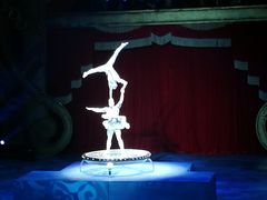 -珠海横琴长隆《卡卡虎奇遇记》