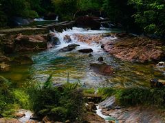 -广州白江湖森林公园