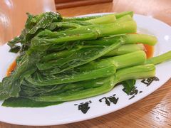 -富豪酒家(正大广场店)