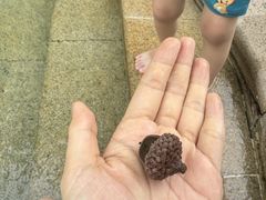 -大连金石滩绿发温泉假日酒店
