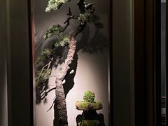 -觀芷隐轩
