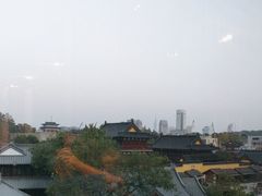 -七欣天香辣蟹火锅(南京建宁路大观天地店)
