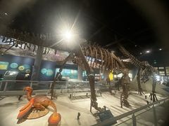 -国家自然博物馆