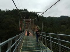 -九龙江国家森林公园