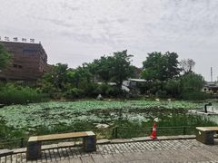 -茯茶镇