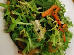 丁香鱼拌苦菊-同和居(什刹海店)