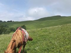 -灵山