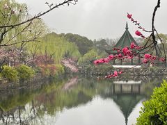 -无锡蠡湖国家湿地公园-蠡园