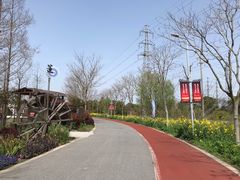 -上海长兴岛郊野公园