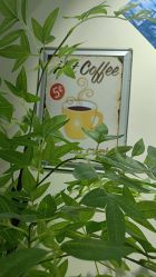 -变美丽半永久纹眉连锁·机器野生眉•洗眉