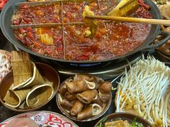 -肥龙火锅(南坪店)