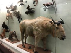 -国家自然博物馆