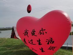 -荷兰花海