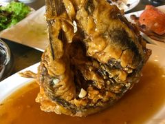 糖醋黄河鲤鱼-春江饭店(共青团路总店)