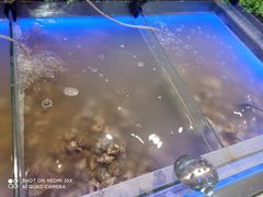 -伊尔曼都自助餐厅(102国道店)