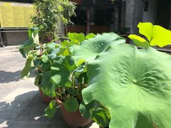 -湘子庙