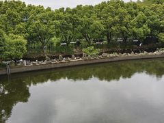 -九龙潭景区