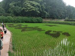 -韶山毛泽东同志故居