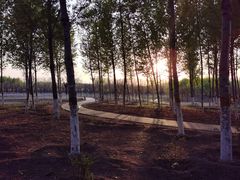 -东郊湿地公园