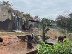 -海南热带野生动植物园
