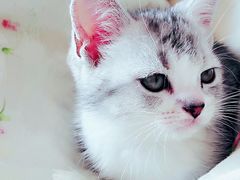 -天津前进宠物医院(前进道店)