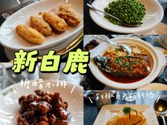 -新白鹿餐厅(虹桥南丰城店)