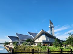 -盐城丹顶鹤湿地生态旅游区