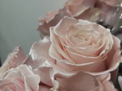 -Flower in(密渡桥店)