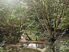 -广州市白云山风景名胜区
