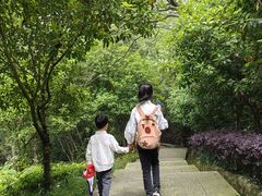 -巢湖姥山岛