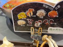 -楠小云·云南鲜菌·鲜牛自助火锅(九眼桥店)