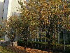 -同济大学(嘉定校区)