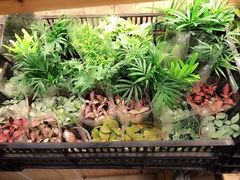 妃比花艺-妃比花艺(光启城时尚购物中心店)