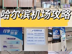 -哈尔滨太平国际机场-T2航站楼