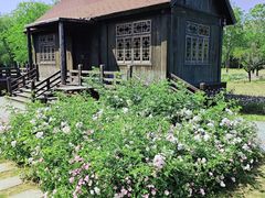 -溱湖国家湿地公园