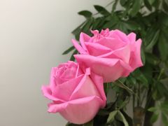 -荔园小馆(园岭新村二期店)