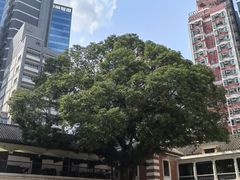 -大馆(前中区警署建築群)