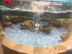 -海立阁海鲜江浙菜(漕河泾印象城店)