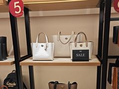 -COACH蔻驰(双安商场店)