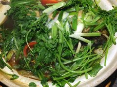 -青叶202都市餐厅(迪诺水镇店)