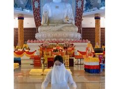 -龙口南山旅游景区